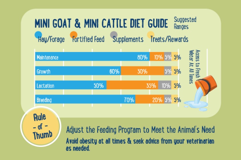 Feeding Guide for Goats and Cattle