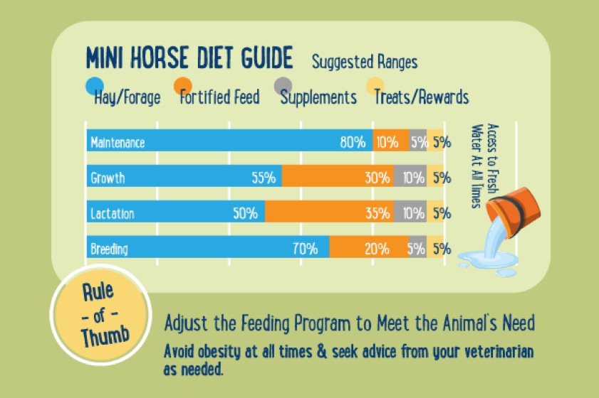 Feeding Guide for Horses