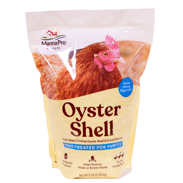 Product Image of: Oyster Shell