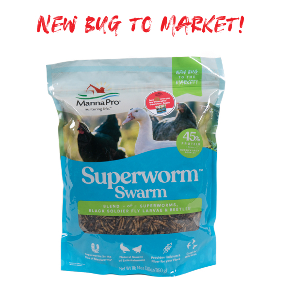 Product Image of: Superworm Swarm