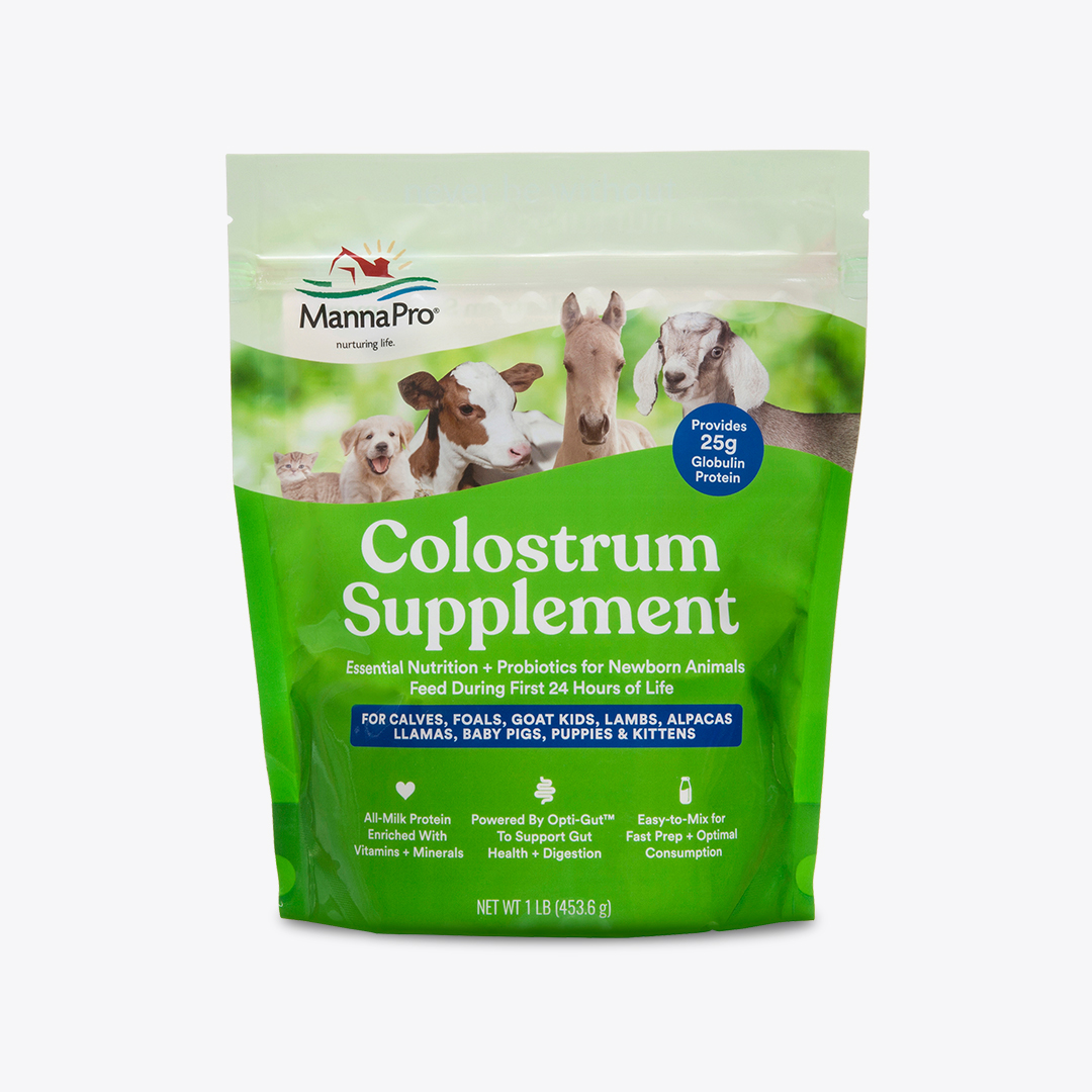 Colostrum Supplement for Livestock| Manna Pro