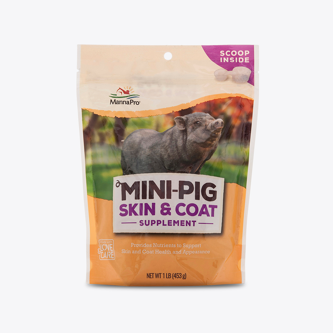 is pig skin good for dogs