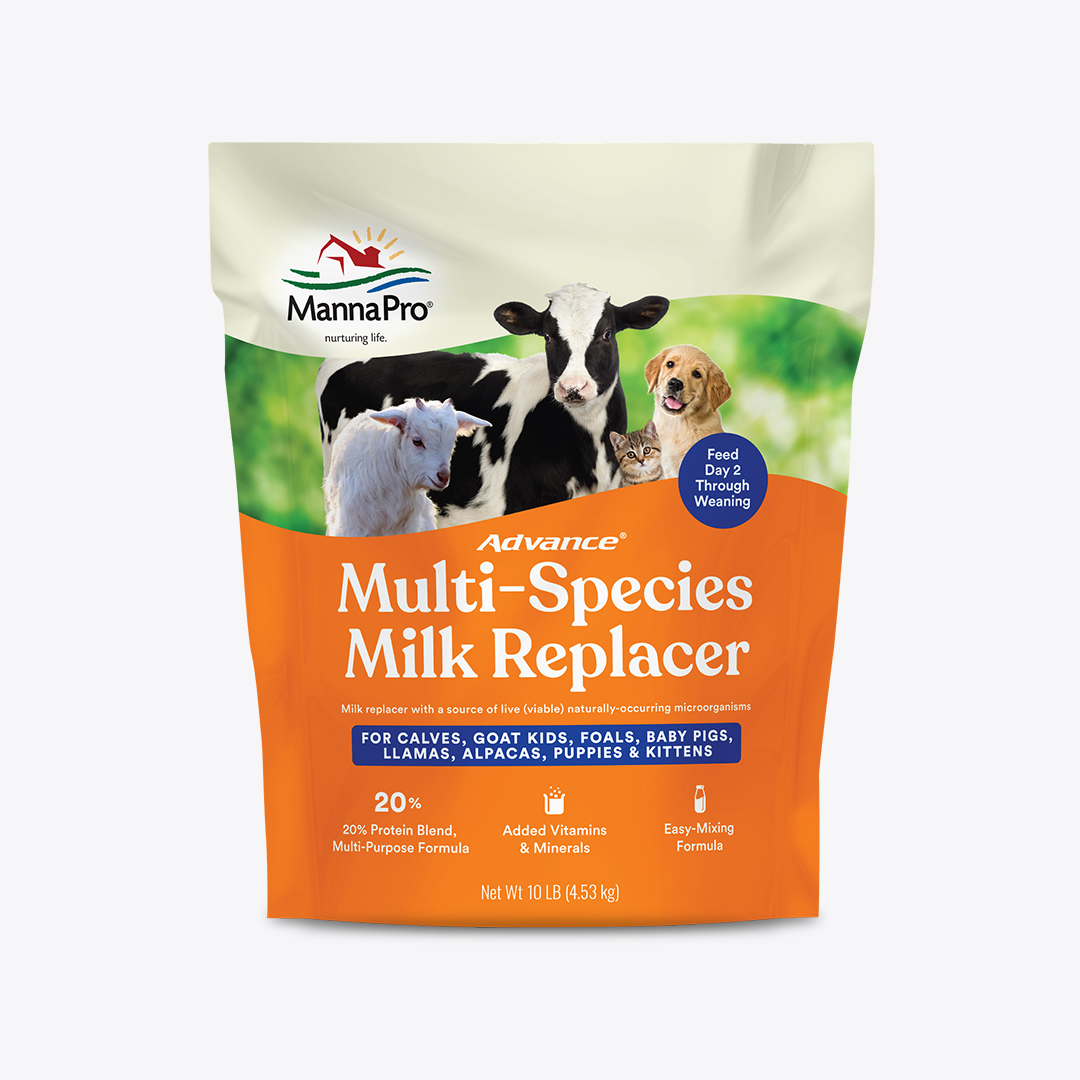 when can puppies have cows milk