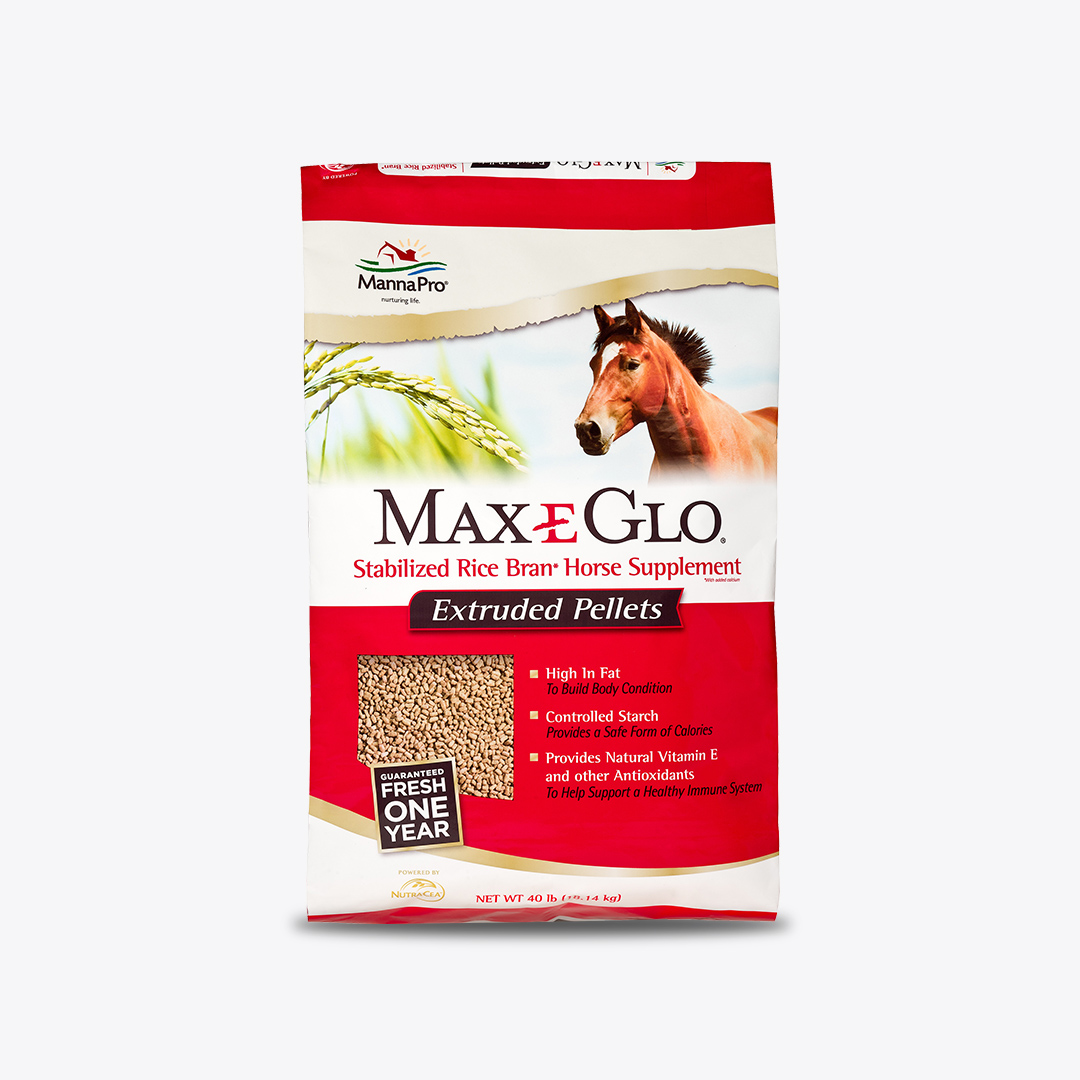 Rice Bran for Horses | Rice Bran Feed | Stabilized Rice Bran for Horses