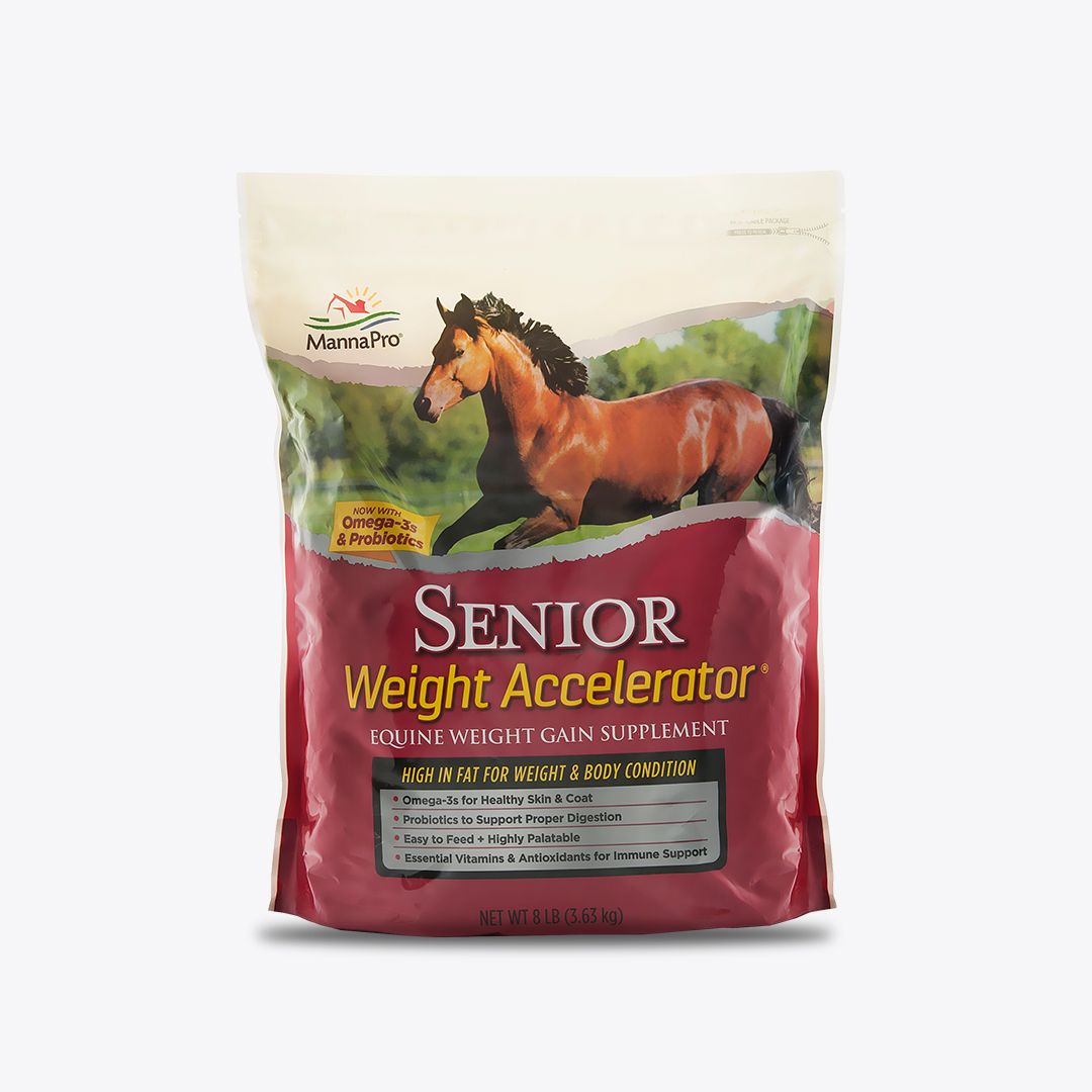 What to feed older horses to gain weight?