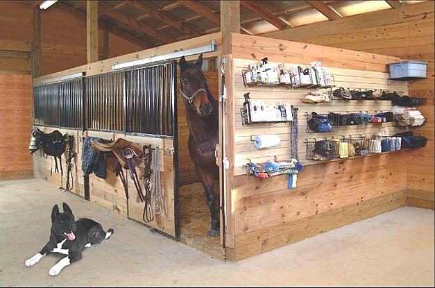 Spring Horse Care Tips Organize Your Barn Like A Pro Manna - Diy Horse Blanket Drying Rack