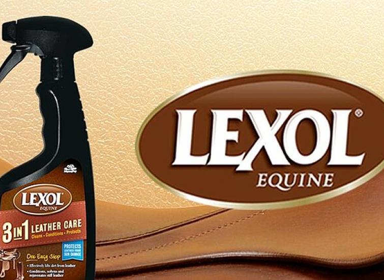 LEXOL ALL LEATHER CONDITIONER CLEANER CONDITIONING PROLONG PROTECT
