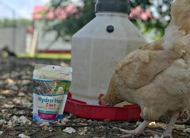 Harris Farms Easy-Fill Poultry Drinker Large Flock 