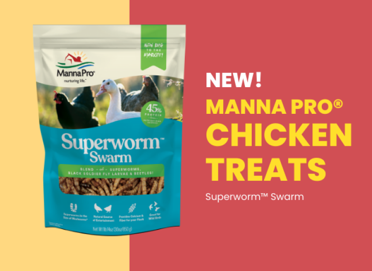 chicken treats manna pro superworm swarm