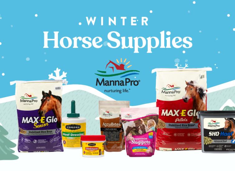 winter horse supplies